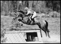 Horse Jumping