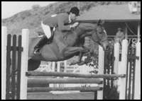 Horse Jumping